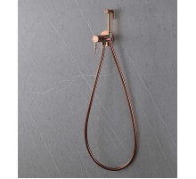 Гигиенический душ со смесителем Abber Wasser Kreis AF8125NG Никель