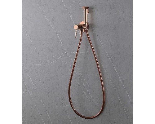 Гигиенический душ со смесителем Abber Wasser Kreis AF8125NG Никель