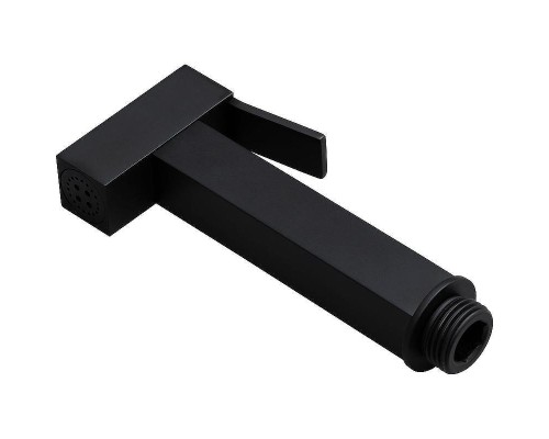 Гигиенический душ Allen Brau Infinity 5.21A05-31 Черный матовый