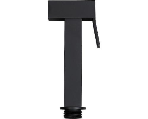 Гигиенический душ Allen Brau Infinity 5.21A05-31 Черный матовый