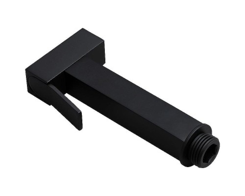 Гигиенический душ Allen Brau Infinity 5.21A05-31 Черный матовый