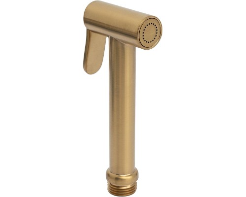 Гигиеническая лейка Allen Brau Priority 5.31028-GB цвет Золото