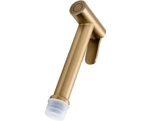 Гигиеническая лейка Allen Brau Priority 5.31028-GB цвет Золото