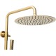 Душевая система Allen Brau Priority 5.31A10-GB цвет Золото браш