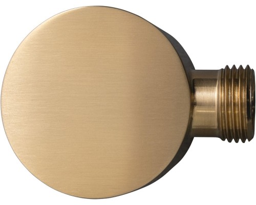 Шланговое подключение Allen Brau Priority 5.31A15-GB цвет Золото