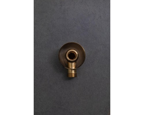 Шланговое подключение Allen Brau Priority 5.31A15-GB цвет Золото