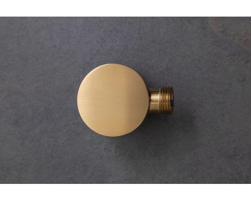 Шланговое подключение Allen Brau Priority 5.31A15-GB цвет Золото