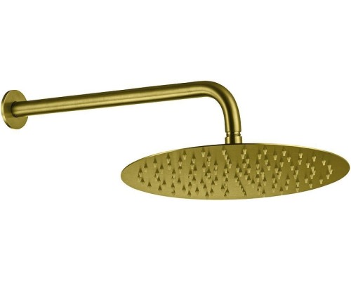 Верхний душ Allen Brau Priority 5.31A17-GB цвет Золото