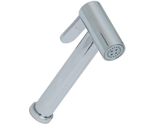 Гигиенический душ Allen Brau Priority 5.31028-00 Хром