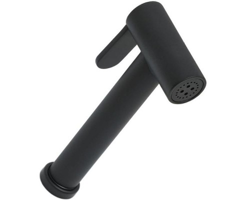 Гигиенический душ Allen Brau Priority 5.31028-31 Черный матовый