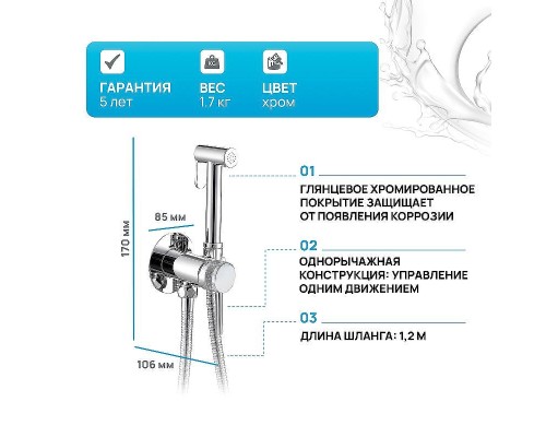 Гигиенический душ со смесителем Allen Brau Priority 5.31A29-00 Хром