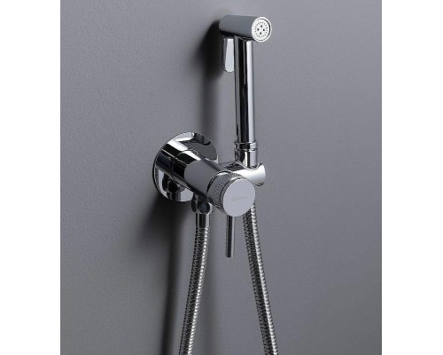 Гигиенический душ со смесителем Allen Brau Priority 5.31A29-00 Хром