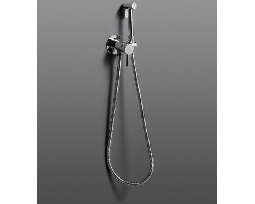 Гигиенический душ со смесителем Allen Brau Priority 5.31A29-00 Хром