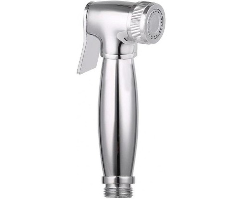 Гигиенический душ Aquanet FT01001.00 246849 Хром
