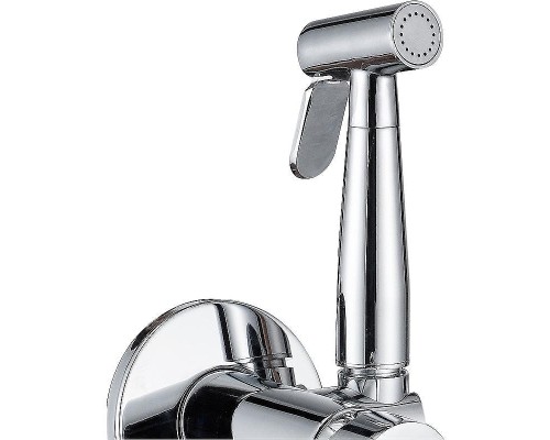 Гигиенический душ со смесителем Aquanet Passion AF300-52С 243317 Хром