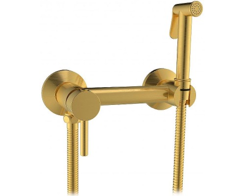 Гигиенический душ со смесителем CeramaLux DRS/007 Золото матовое