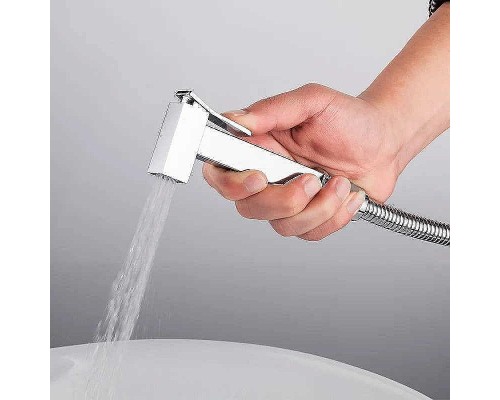 Гигиенический душ со смесителем Frap F7506 Хром