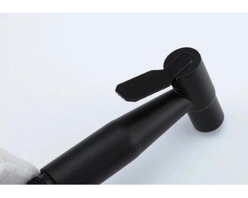 Гигиенический душ со смесителем Frap H801-6 F72801-6 Черный матовый