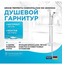 Душевой гарнитур Grohe Tempesta Cosmopolitan 100 26083002 Хром