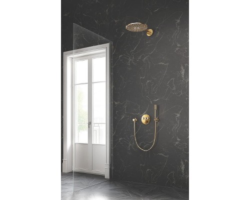 Держатель ручного душа Grohe Rainshower 27074GL0 Холодный рассвет