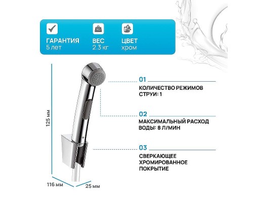 Гигиенический душ Hansgrohe 96907000 Хром