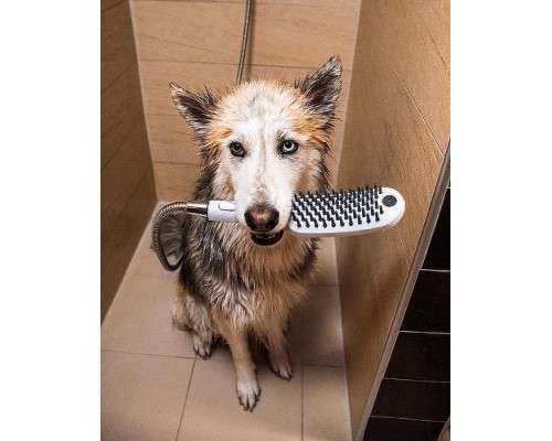 Ручной душ Hansgrohe DogShower 26640670 для собак Черный