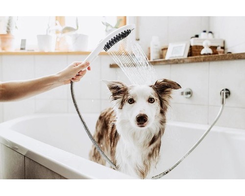 Ручной душ Hansgrohe DogShower 26640670 для собак Черный