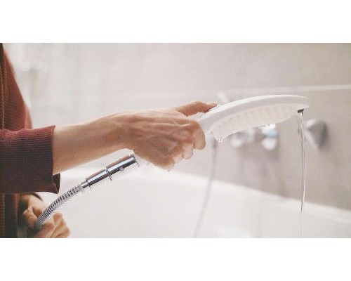 Ручной душ Hansgrohe DogShower 26640670 для собак Черный