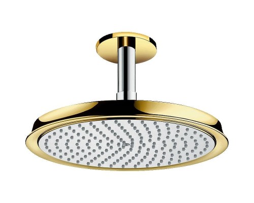 Верхний душ Hansgrohe Raindance Classic 27405090 Хром Золото