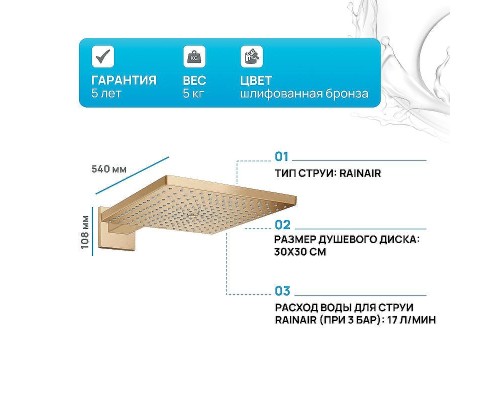 Верхний душ Hansgrohe Raindance E 30 26238140 Шлифованная бронза