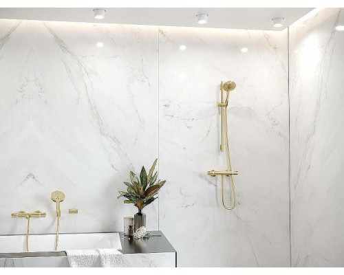 Ручной душ Hansgrohe Raindance Select S 26530140 Бронза матовая