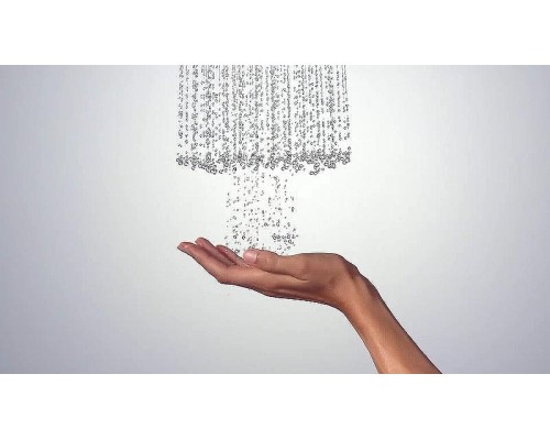 Ручной душ Hansgrohe Raindance Select S 26530140 Бронза матовая