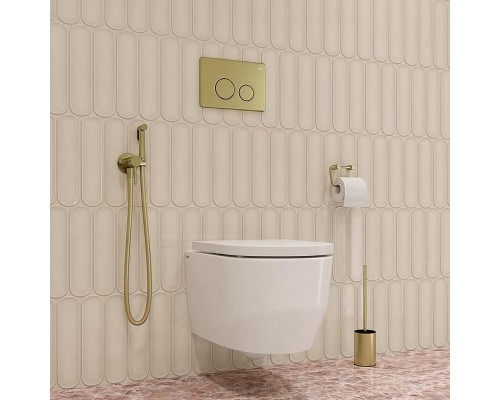 Гигиенический душ со смесителем Iddis Axes 005MGR0i08 Золото матовое