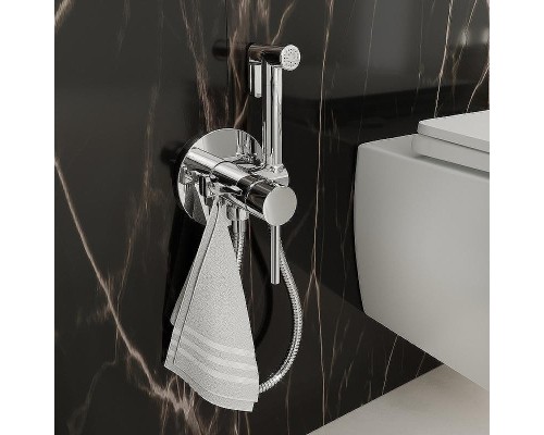 Гигиенический душ Iddis IDDIS 020SB0Gi20 Хром