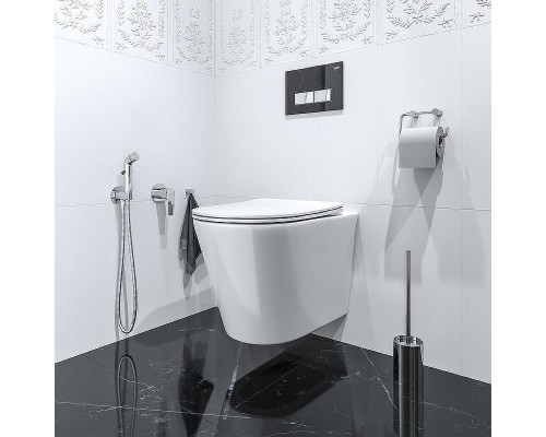 Гигиенический душ со смесителем Iddis Ray RAYSBR2i08 Хром