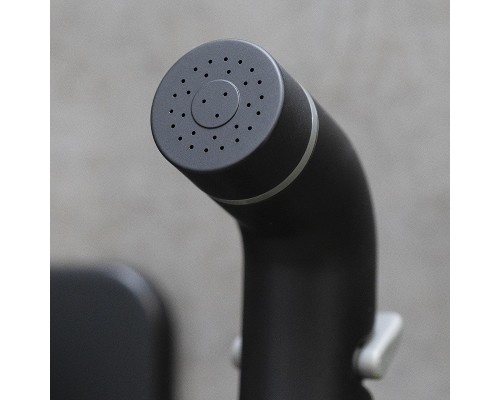 Гигиенический душ со смесителем Lemark Bronx LM3740BL c термостатом цвет Черный