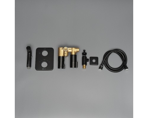 Гигиенический душ со смесителем Lemark Bronx LM3740BL c термостатом цвет Черный