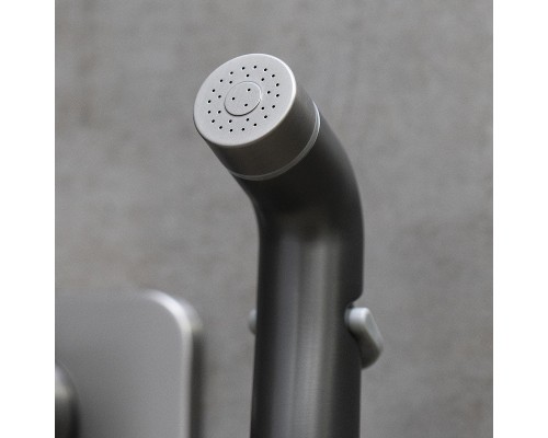Гигиенический душ со смесителем Lemark Bronx LM3740GM c термостатом цвет Графит