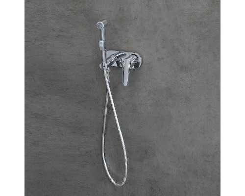 Гигиенический душ со смесителем Lemark Linara LM0419C цвет Хром