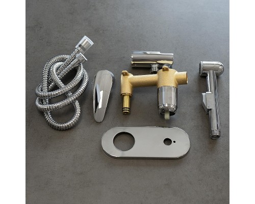 Гигиенический душ со смесителем Lemark Linara LM0419C цвет Хром