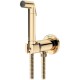 Гигиенический душ со смесителем Lemark Solo LM7171G Золото
