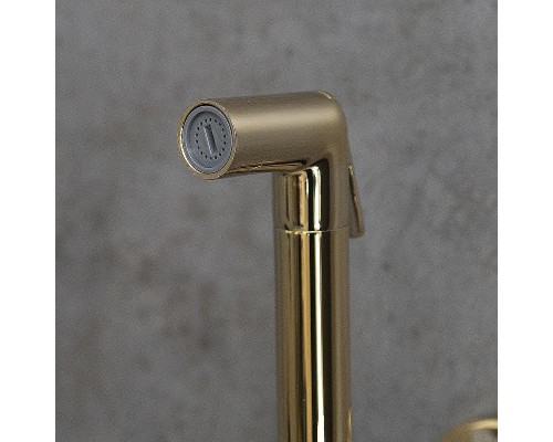 Гигиенический душ со смесителем Lemark Solo LM7171G Золото