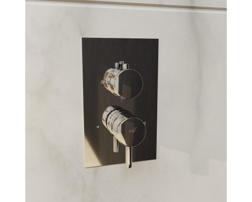 Душевая система RGW Shower Panels SP-6143-01 50140801-01 Хром