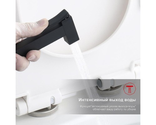 Гигиенический душ со смесителем Raglo R01.53.06 Черный матовый