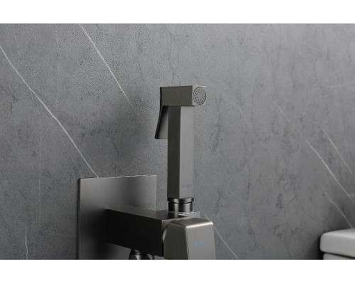 Гигиенический душ со смесителем Raglo R01.52.09 Графит матовый