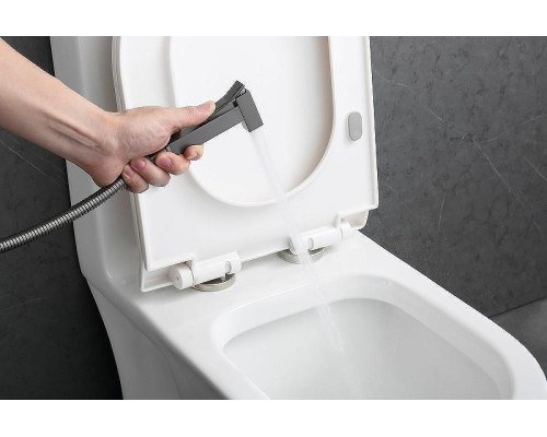 Гигиенический душ со смесителем Raglo R01.52.09 Графит матовый