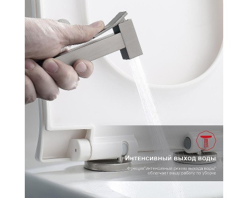 Гигиенический душ со смесителем Raglo R01.51.09 Графит матовый