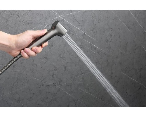 Гигиенический душ со смесителем Raglo R03.51.09 Графит матовый