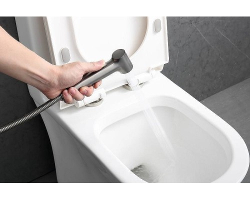 Гигиенический душ со смесителем Raglo R03.51.09 Графит матовый