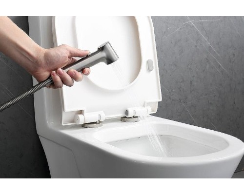 Гигиенический душ со смесителем Raglo R03.51.09 Графит матовый